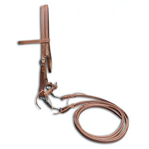 Showman ® Argentina Cow Leather horse size bridle with LS Tom Thumb Bit and reins.