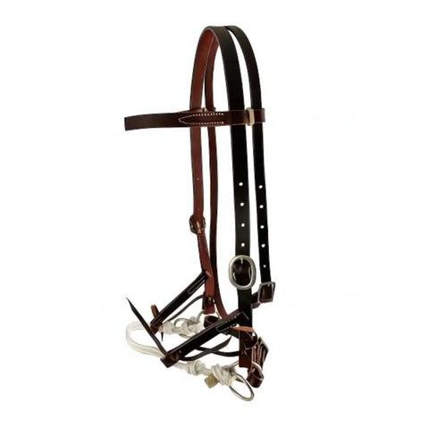 Showman ® Argentina Cow Leather side pull.